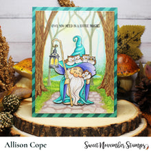 Load image into Gallery viewer, Clear Stamp Set - Magnus the Wizard