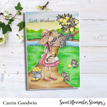 Load image into Gallery viewer, Clear Stamp Set - Bountiful Blessings: Squeeze the Day