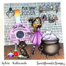 Load image into Gallery viewer, Clear Stamp Set - Lucinda's Lair