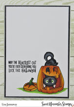 Load image into Gallery viewer, Clear Stamp Set - Midnight's Halloween Adventures