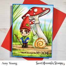 Load image into Gallery viewer, Digital Stamp - Li'l Gnomie Gnicholas