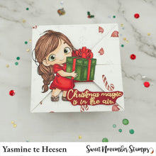 Load image into Gallery viewer, Clear Stamp Set - Joy