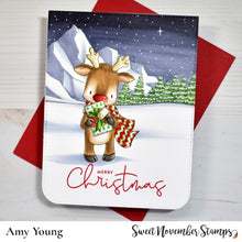 Load image into Gallery viewer, Clear Stamp Set - Winter Wishes Reindeer