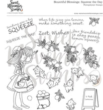 Load image into Gallery viewer, Clear Stamp Set - Bountiful Blessings: Squeeze the Day