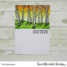 Load image into Gallery viewer, Clear Stamp Set - Horizon lines: Birch Trees