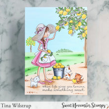 Load image into Gallery viewer, Clear Stamp Set - Bountiful Blessings: Squeeze the Day