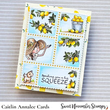 Load image into Gallery viewer, Clear Stamp Set - Bountiful Blessings: Squeeze the Day