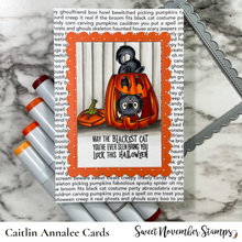 Load image into Gallery viewer, Clear Stamp Set - Midnight's Halloween Adventures