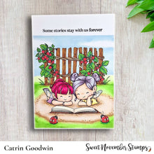 Load image into Gallery viewer, Clear Stamp Set - Fairwee Readers