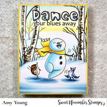 Load image into Gallery viewer, Clear Stamp Set - Frosty Feet