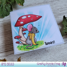 Load image into Gallery viewer, Clear Stamp Set - Harvest Wishes
