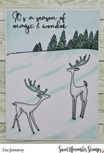 Load image into Gallery viewer, Clear Stamp Set - Horizon Lines: Winter Wonderland