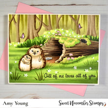 Load image into Gallery viewer, Clear Stamp Set - Little Moments