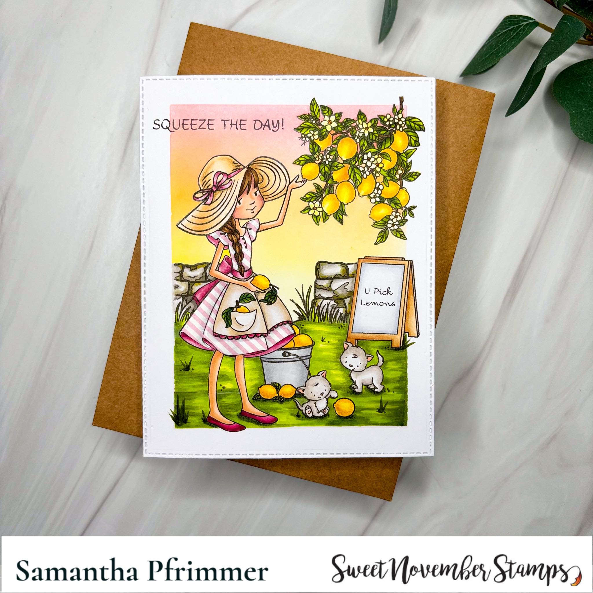 Clear Stamp Set - Bountiful Blessings: Squeeze the Day