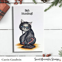 Load image into Gallery viewer, Digital Stamp - 1st Christmas: Scrappy and Sulky Sticky Sweet
