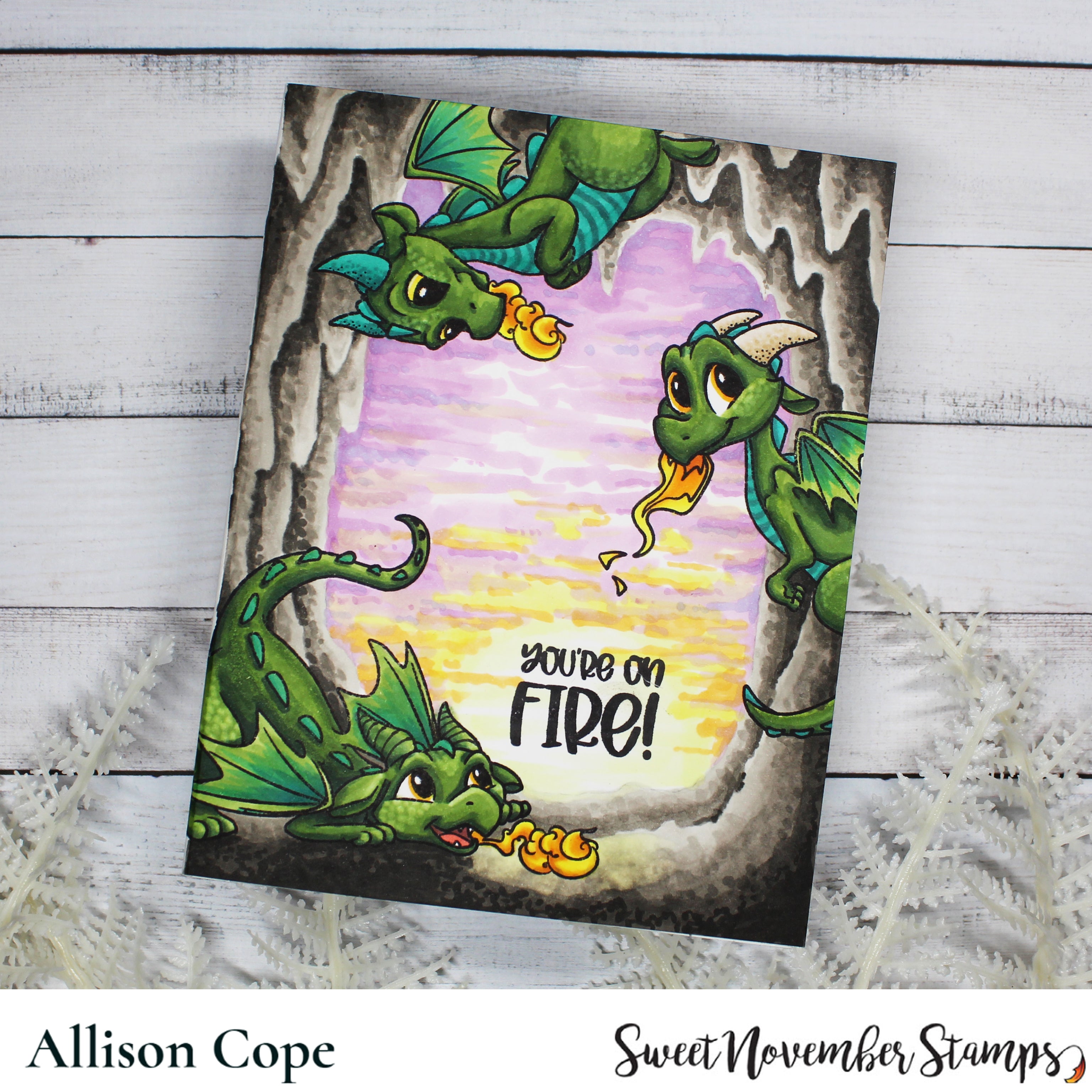 Clear Stamp Set - Dragon Trio 4x6