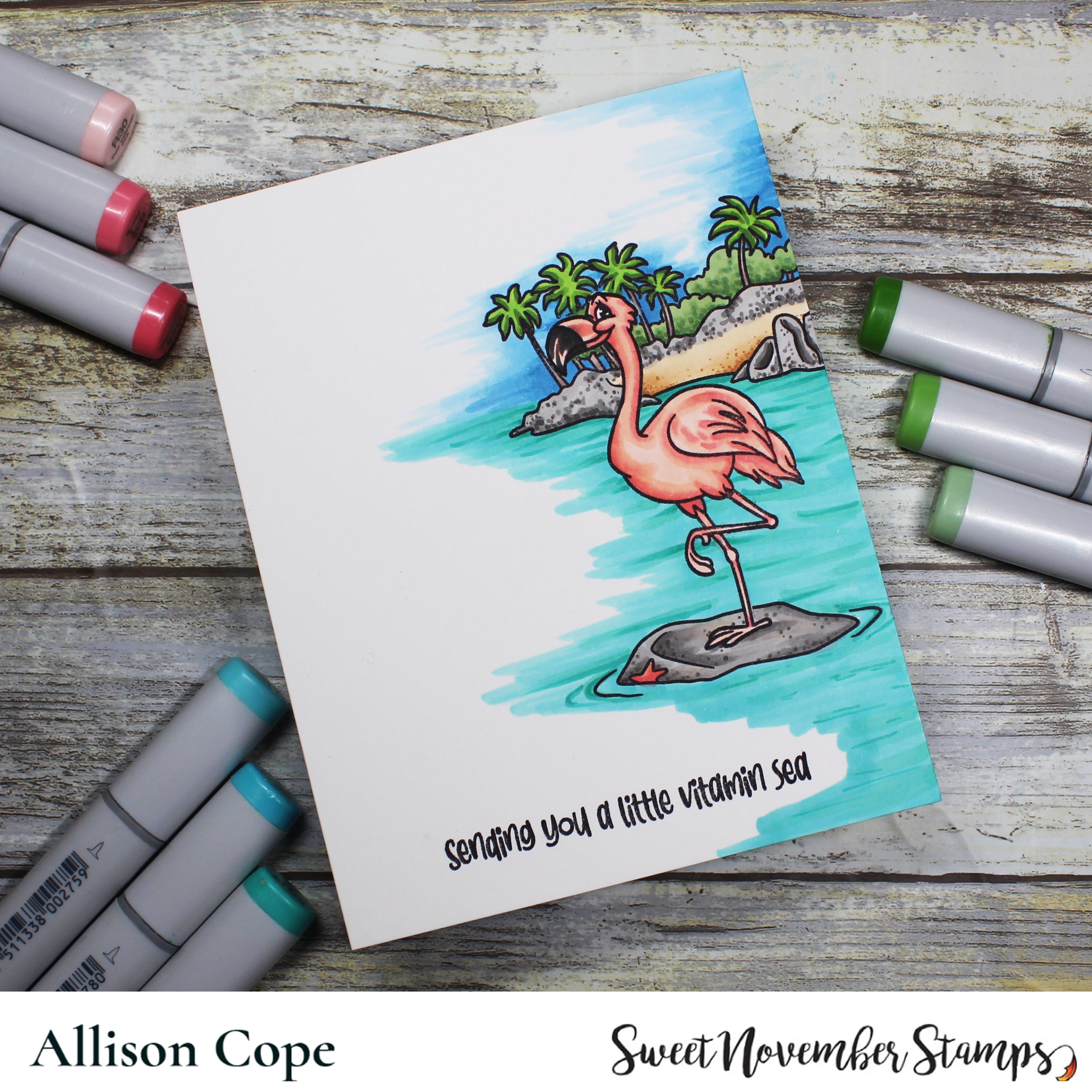 Clear Stamp Set - Sea Birds