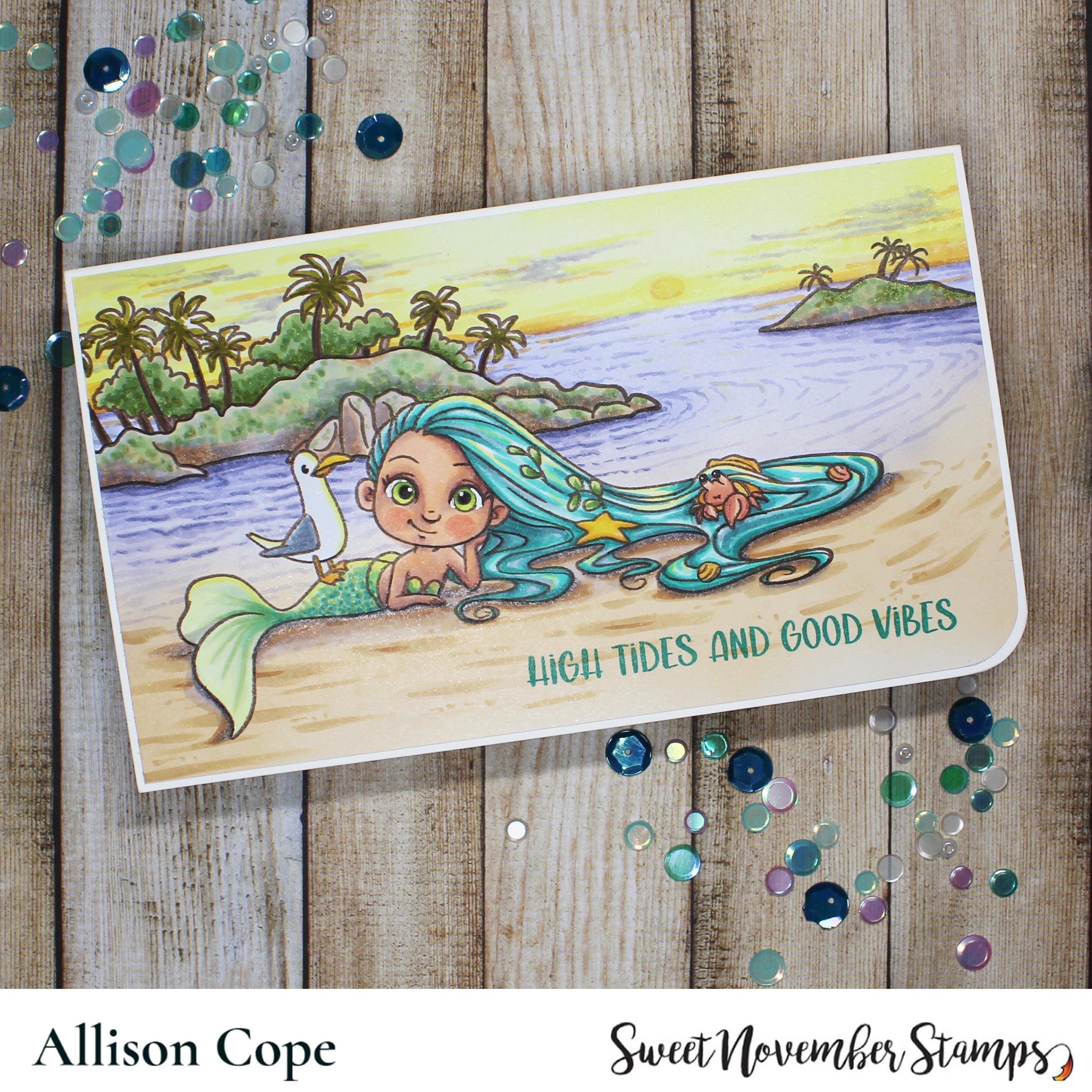 Clear Stamp Set - Skipper *Limited Edition*