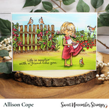 Load image into Gallery viewer, Clear Stamp Set - Bountiful Blessings: Berry Sweet Day
