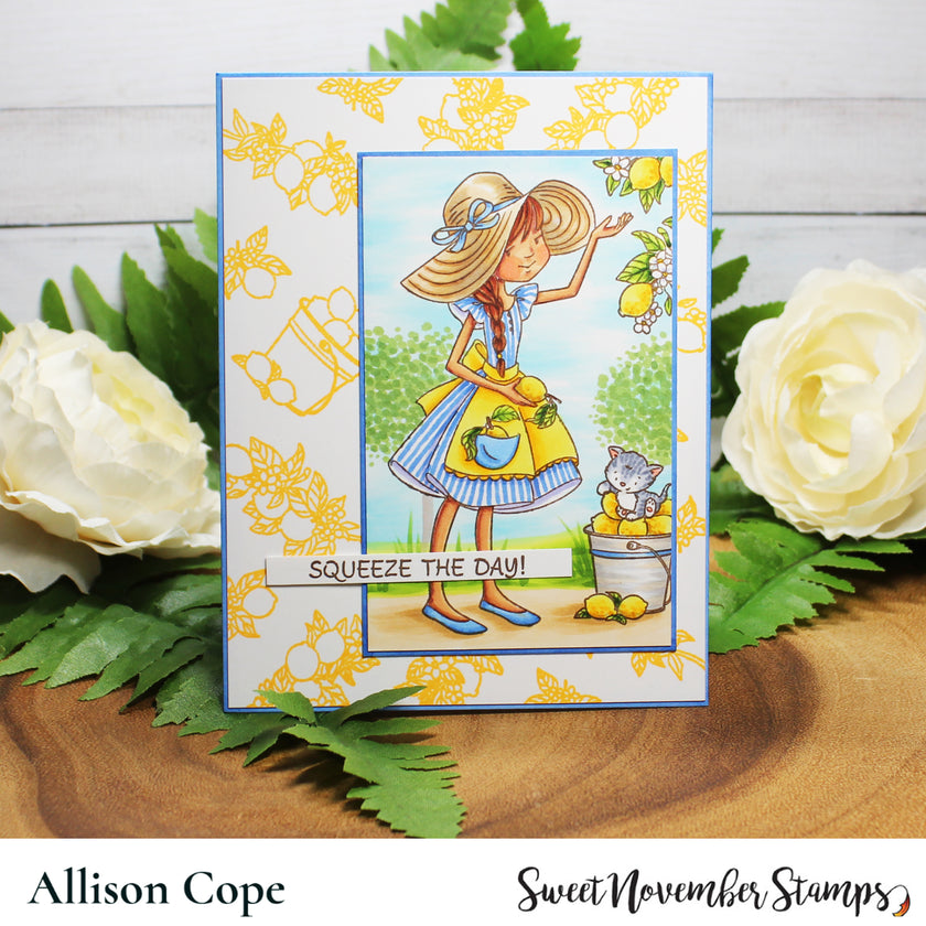 Clear Stamp Set - Bountiful Blessings: Squeeze the Day