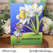 Load image into Gallery viewer, Clear Stamp Set - December Narcissus Fairy
