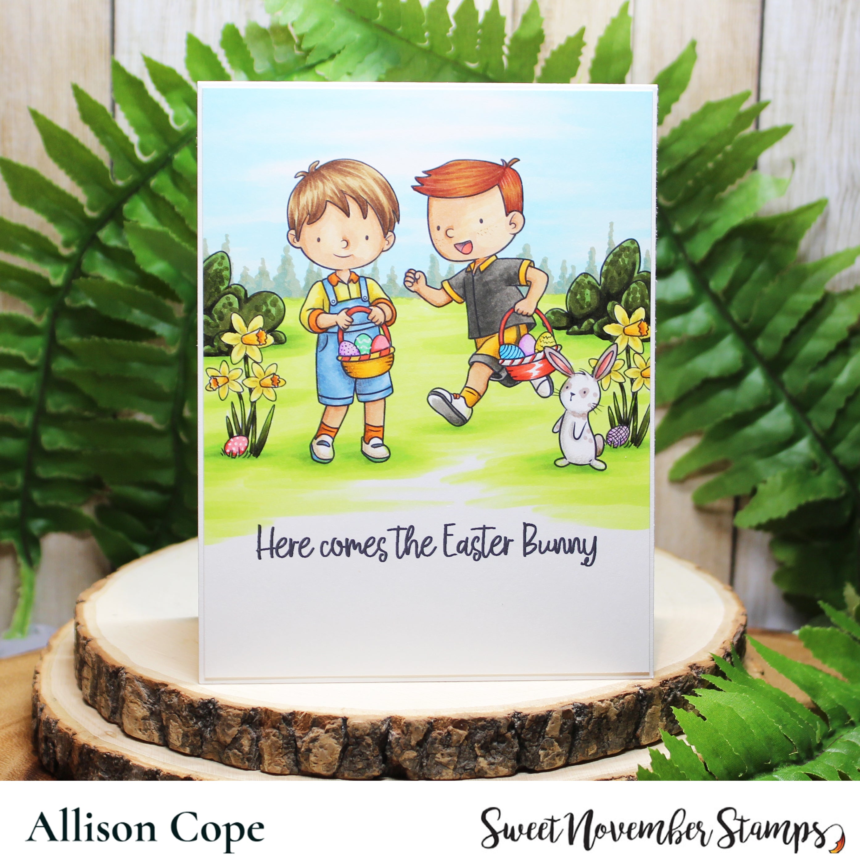 Clear Stamp Set - Egg Hunt