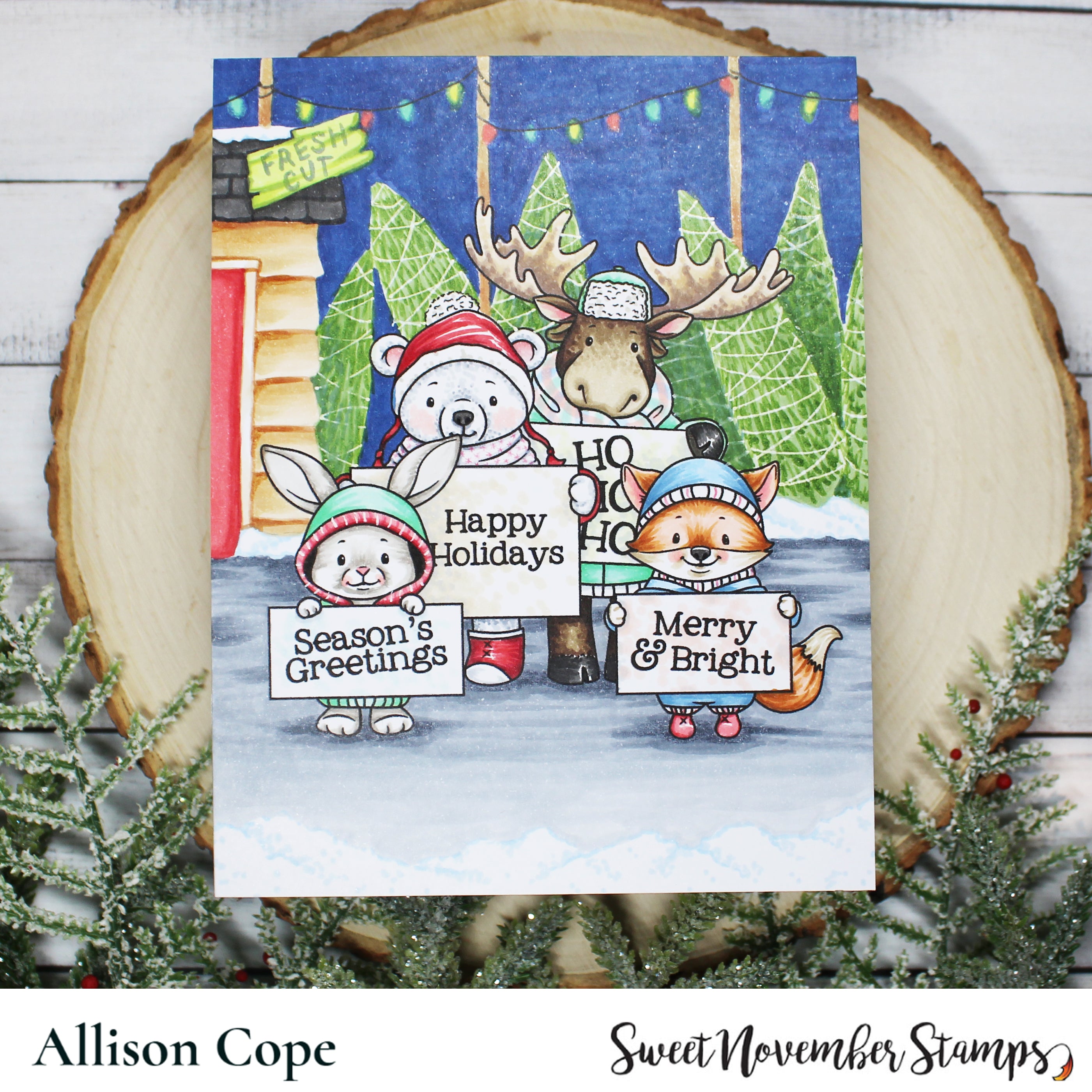 Clear Stamp Set - Signs of the Season