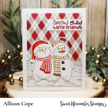 Load image into Gallery viewer, Clear Stamp Set - Snow Buddy Like You
