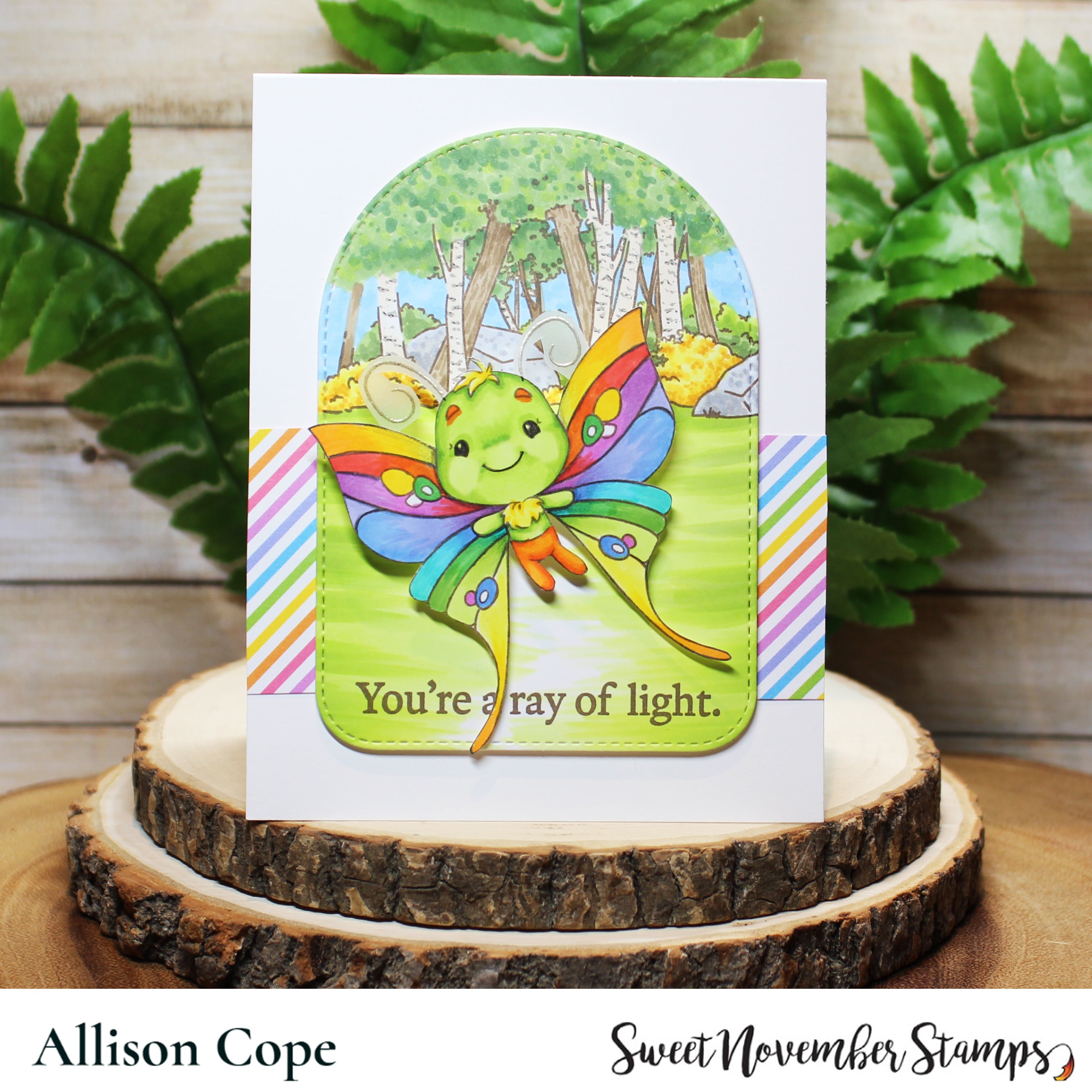 Clear Stamp Set - Take Flight