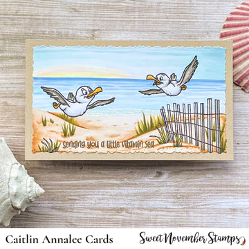 Clear Stamp Set - Sea Birds