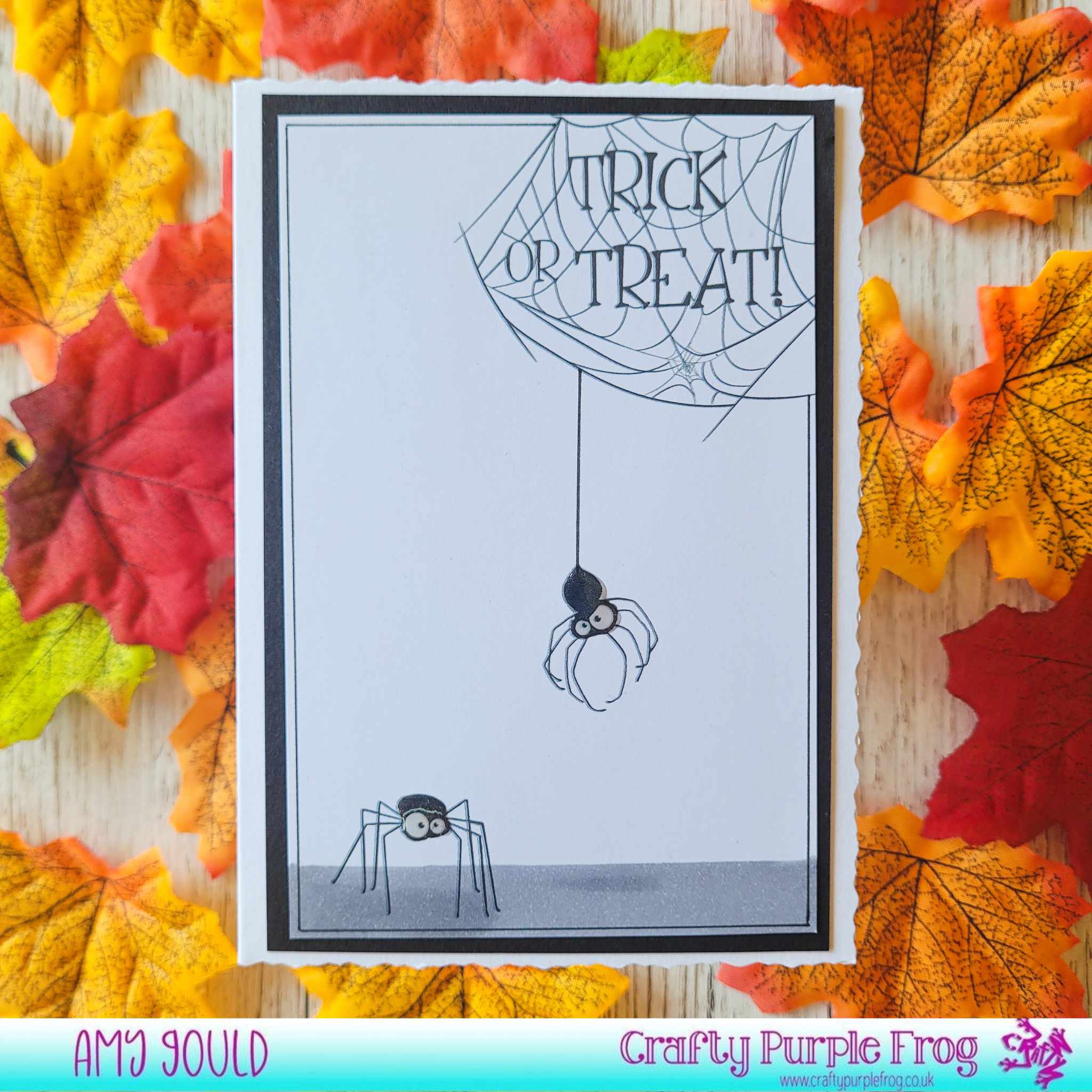 Clear Stamp Set - Spider Salutations