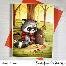 Load image into Gallery viewer, Digital Stamp - Cozy Fall Critters: Ridley Raccoon
