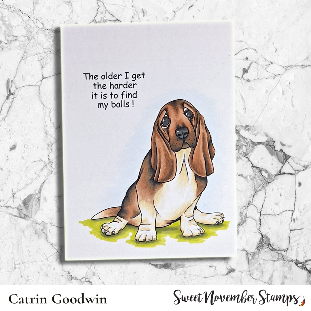 Digital Stamp - Dog Park 3: Bentley the Basset Hound