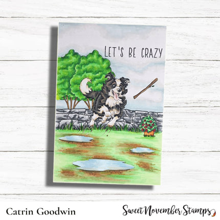 Digital Stamp - Dog Park 3: Scout the Border Collie