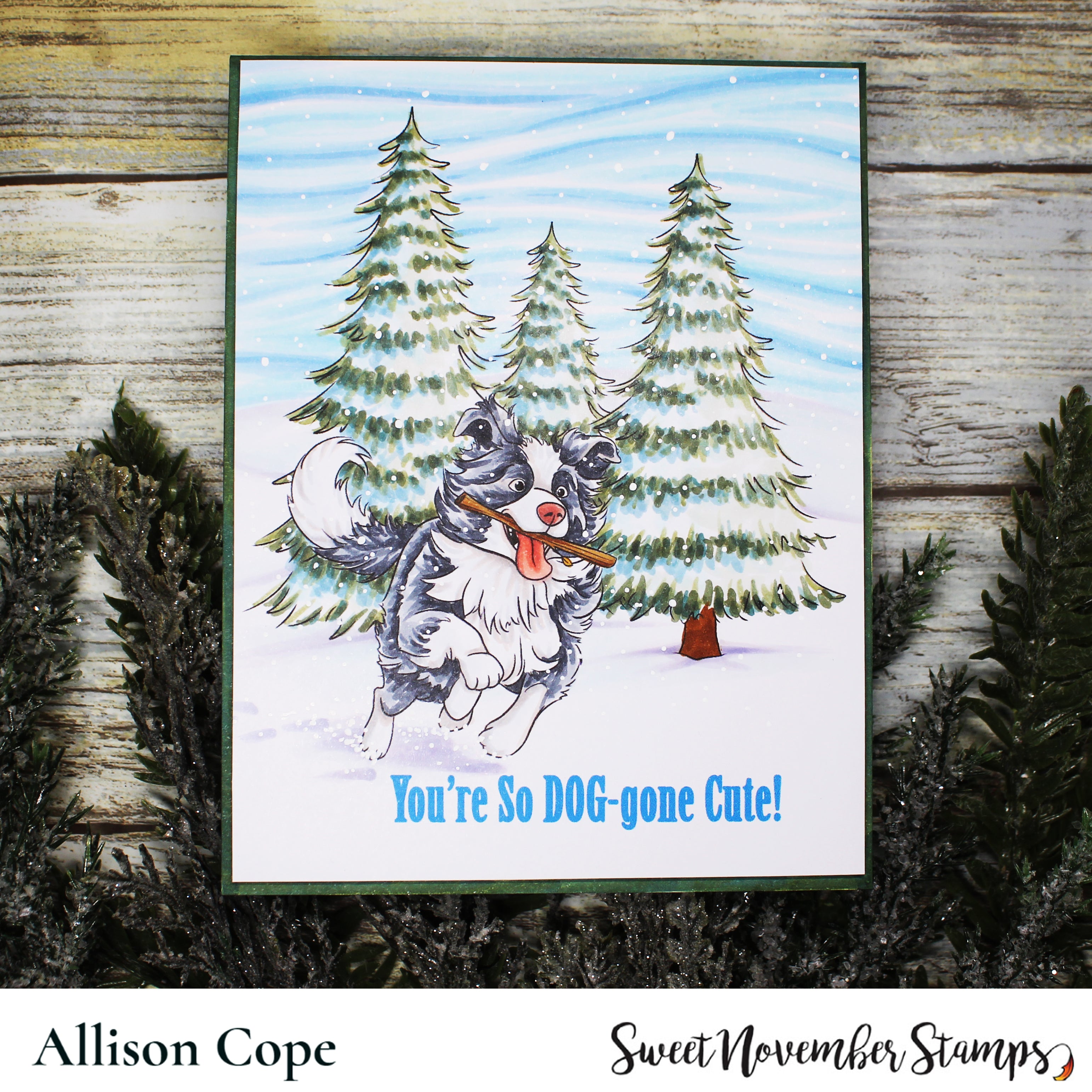 Digital Stamp - Dog Park 3: Scout the Border Collie