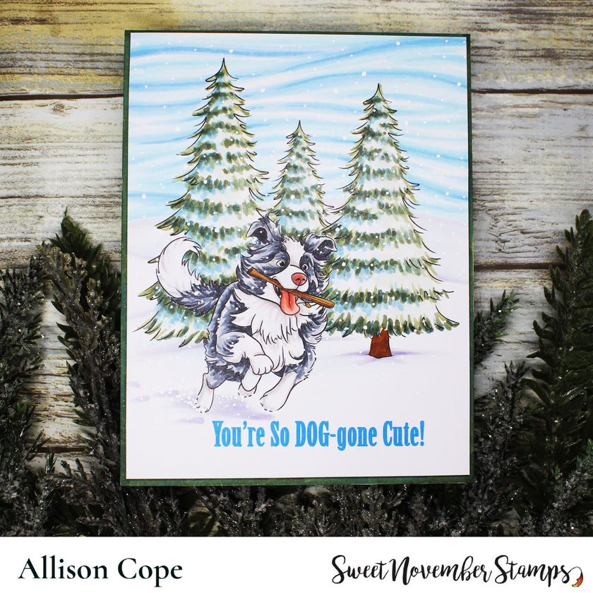 Digital Stamp - Dog Park 3: Scout the Border Collie