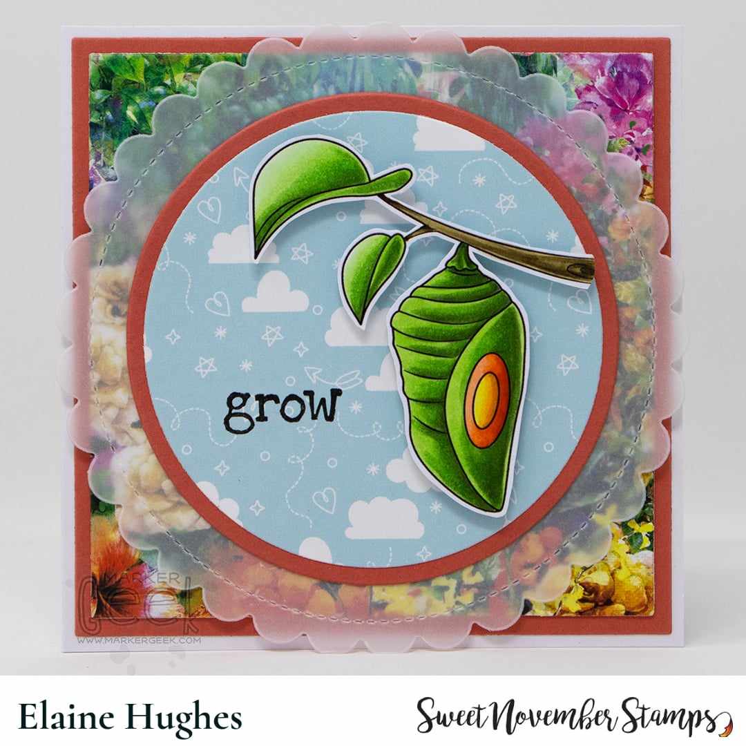 Clear Stamp Set - Take Flight