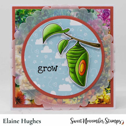 Clear Stamp Set - Take Flight