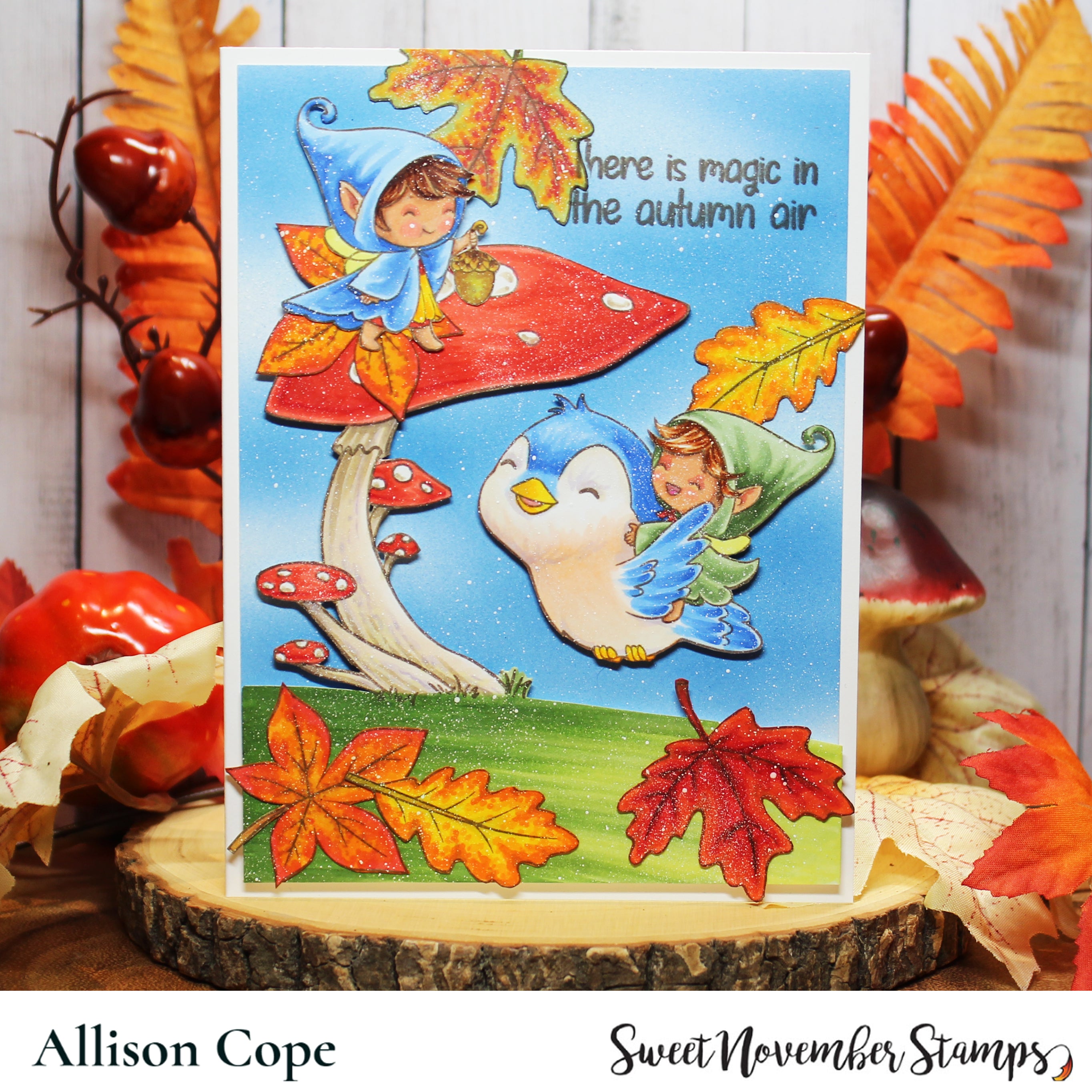 Clear Stamp Set - Autumn Wonder Fairwees