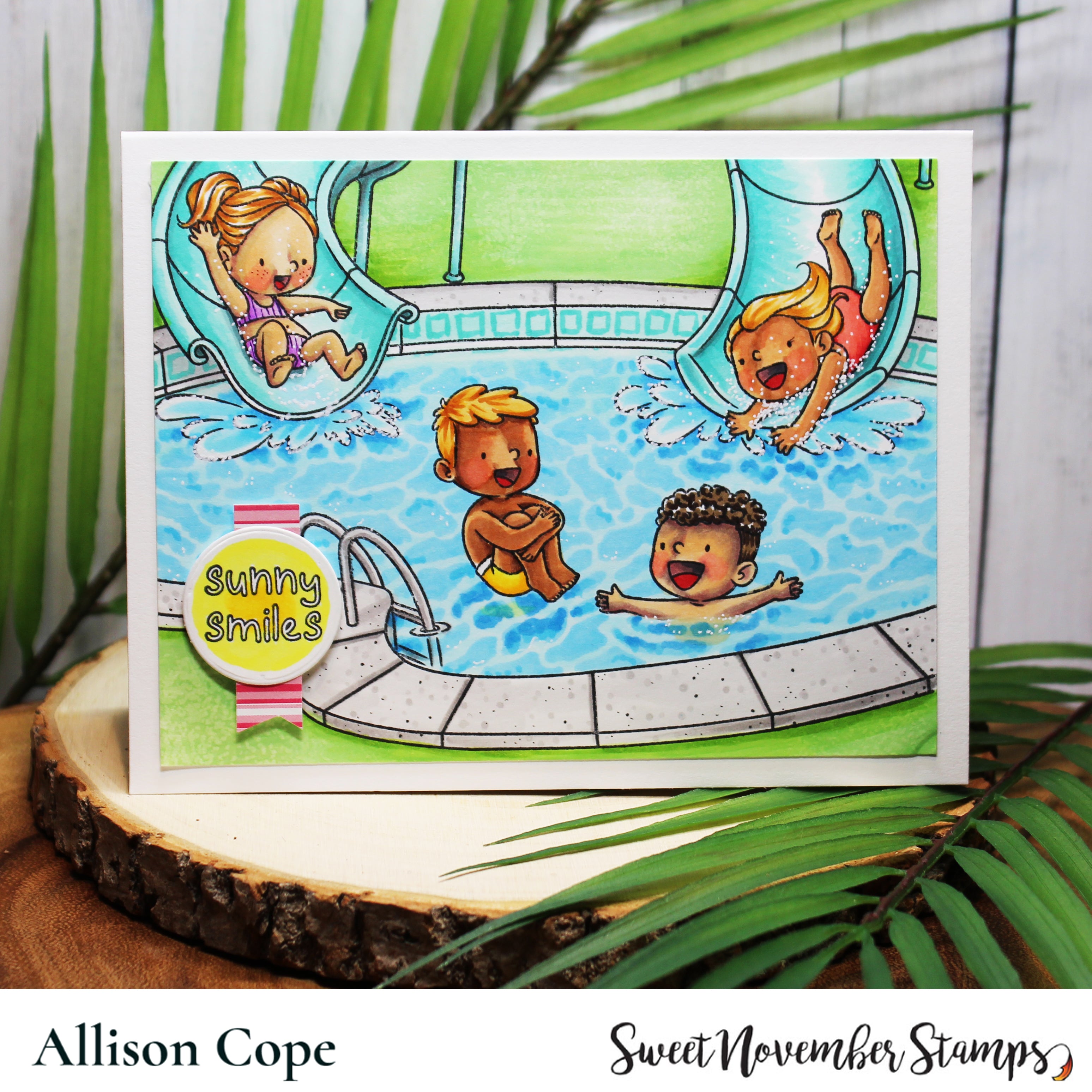 Clear Stamp Set - Water Park Party