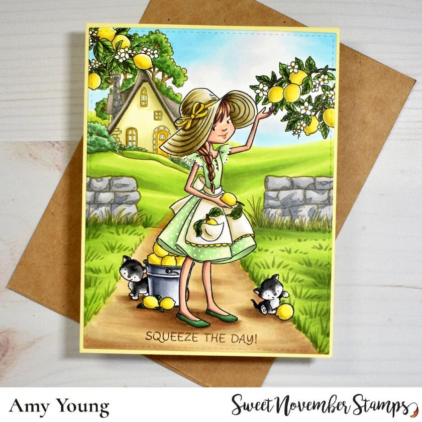 Clear Stamp Set - Bountiful Blessings: Squeeze the Day