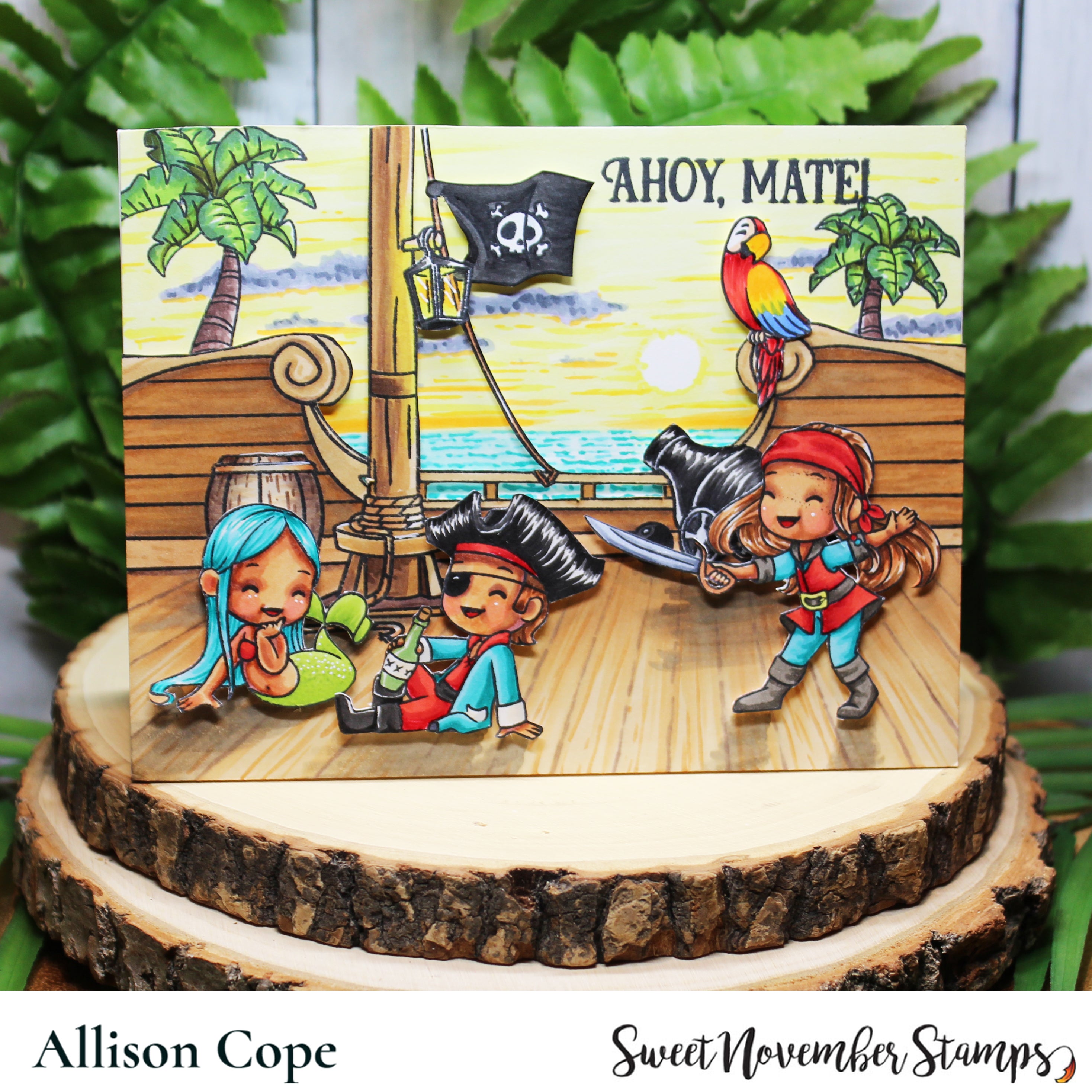 Clear Stamp Set - A Wee Bit of Piracy