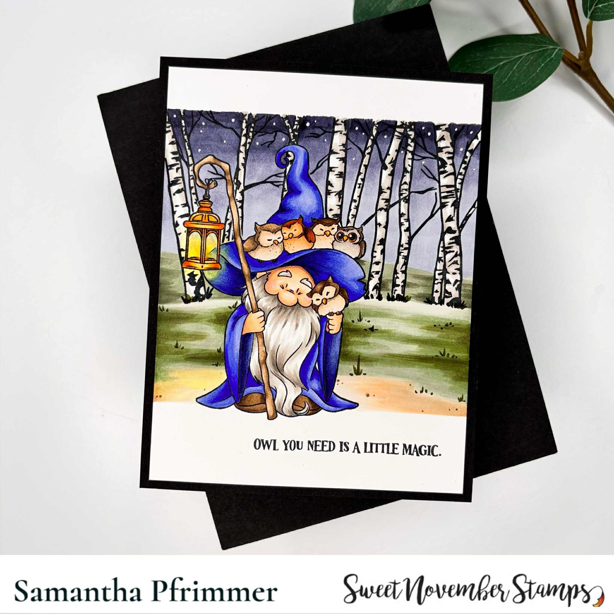 Clear Stamp Set - Magnus the Wizard