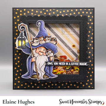 Clear Stamp Set - Magnus the Wizard