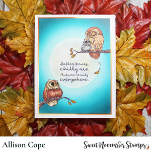 Clear Stamp Set - Fall is in the Air