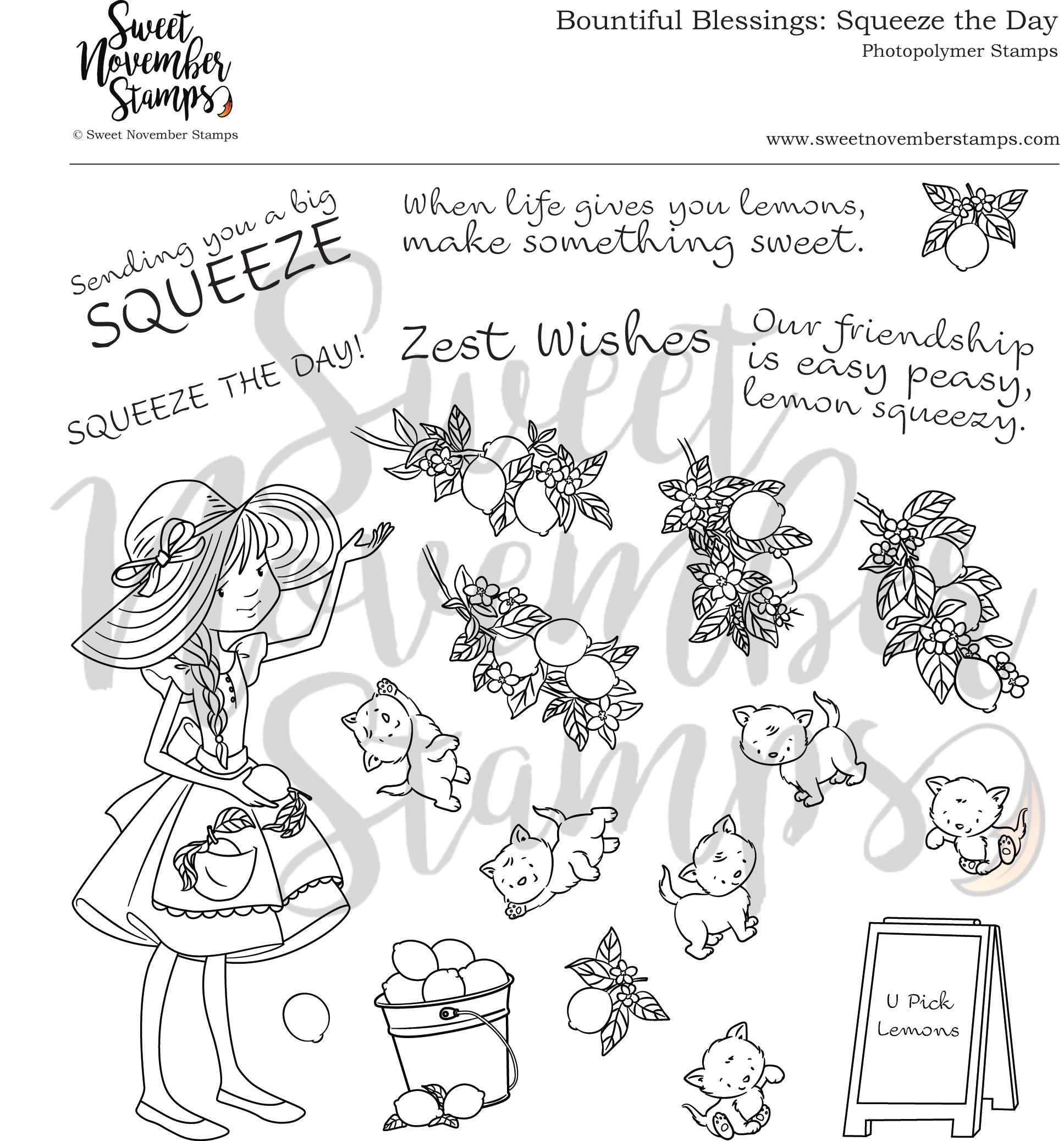 Clear Stamp Set - Bountiful Blessings: Squeeze the Day