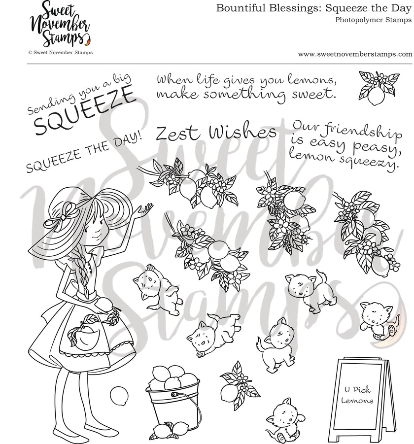 Clear Stamp Set - Bountiful Blessings: Squeeze the Day