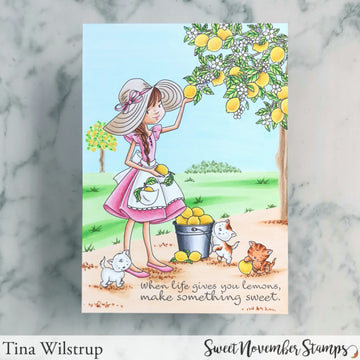 Clear Stamp Set - Bountiful Blessings: Squeeze the Day