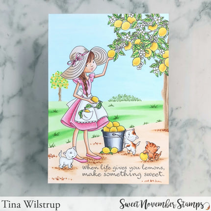 Clear Stamp Set - Bountiful Blessings: Squeeze the Day