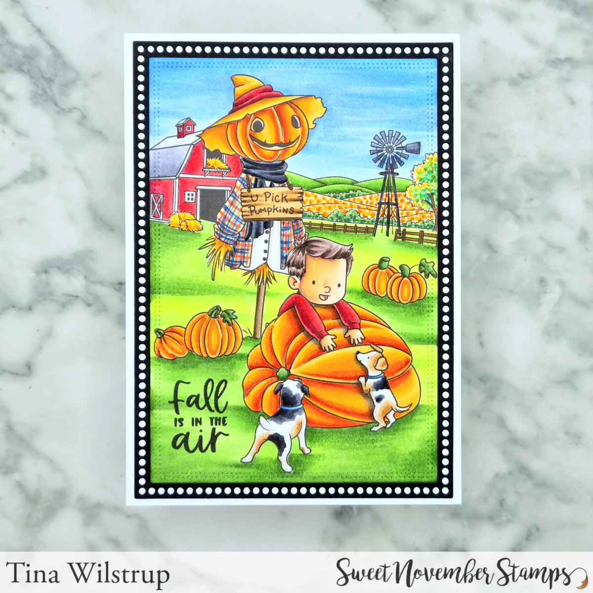 Clear Stamp Set - Pumpkin Patch